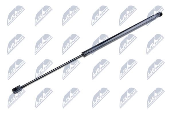 NTY AE-HY-016 Tailgate strut AEHY016 AEHY016 NTY Tailgate strut