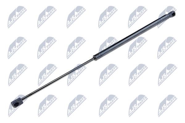 AEHY030 NTY Tailgate strut