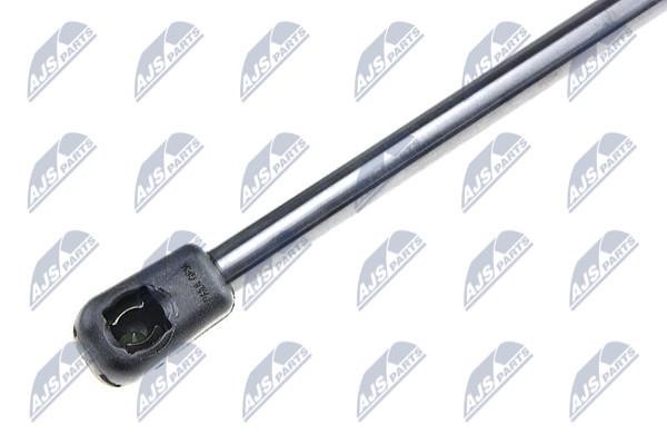 Tailgate strut NTY AE-KA-000
