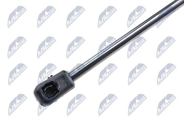 Tailgate strut NTY AE-KA-002