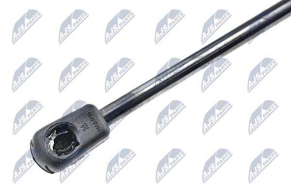 Tailgate strut NTY AE-KA-009
