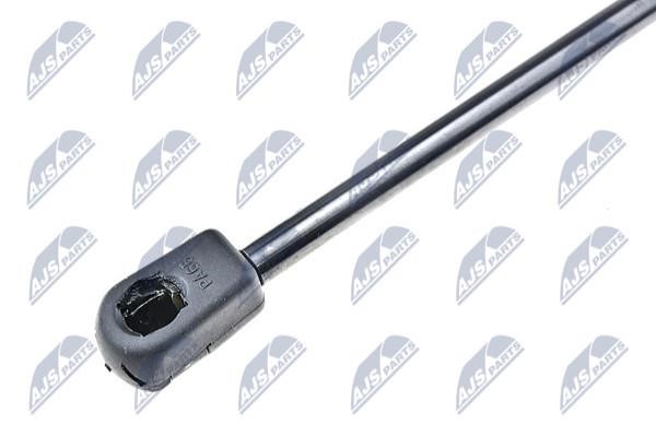 Tailgate strut NTY AE-ME-011