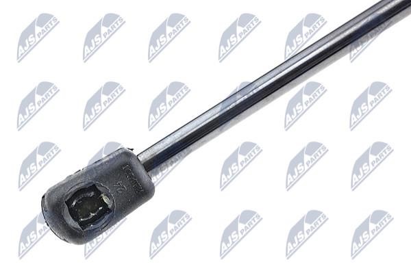Tailgate strut NTY AE-ME-015