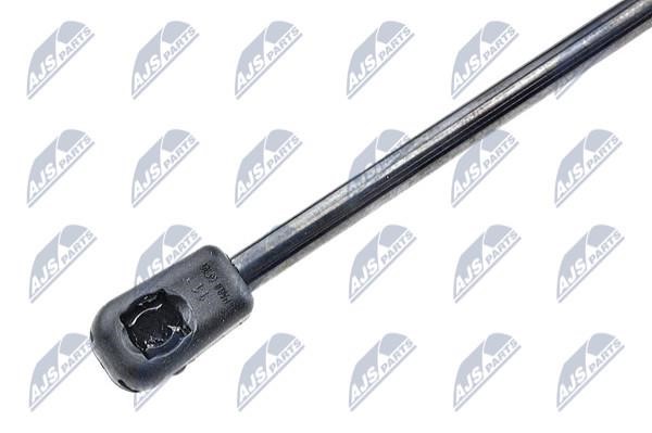 Tailgate strut NTY AE-ME-016