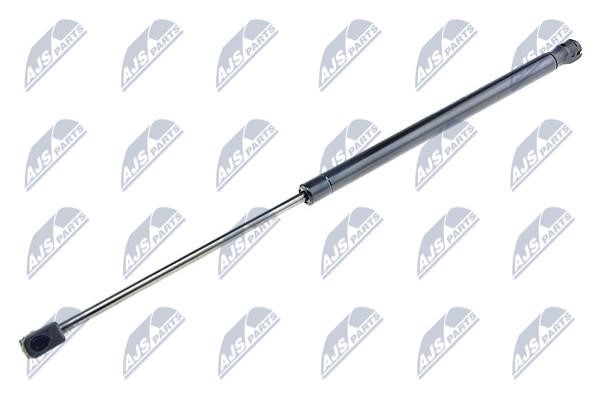 AEME017 NTY Tailgate strut