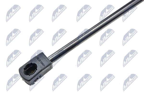 Tailgate strut NTY AE-ME-040