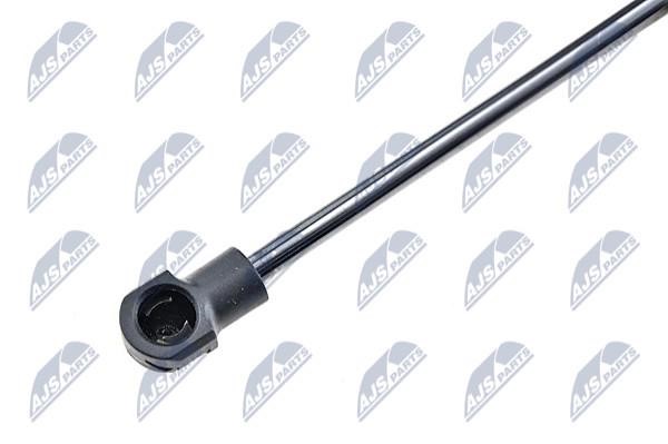 Tailgate strut NTY AE-ME-049