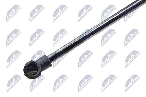 Tailgate strut NTY AE-ME-050