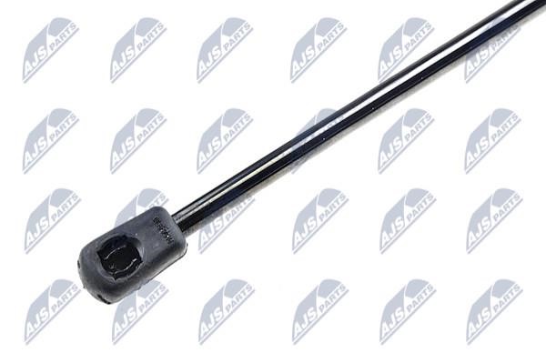 Tailgate strut NTY AE-MZ-001
