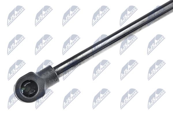 Tailgate strut NTY AE-NS-000