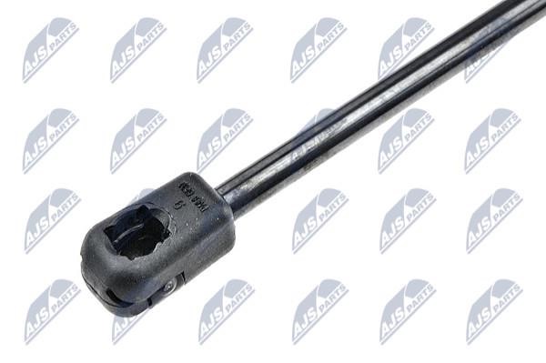 Tailgate strut NTY AE-NS-002