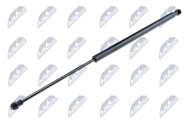 NTY AE-NS-006 Gas Spring, boot-/cargo area AENS006