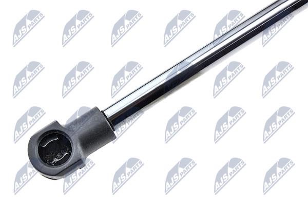 Tailgate strut NTY AE-NS-006