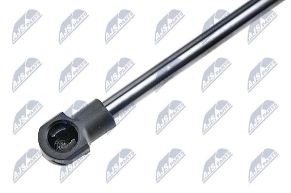 Tailgate strut NTY AE-NS-007