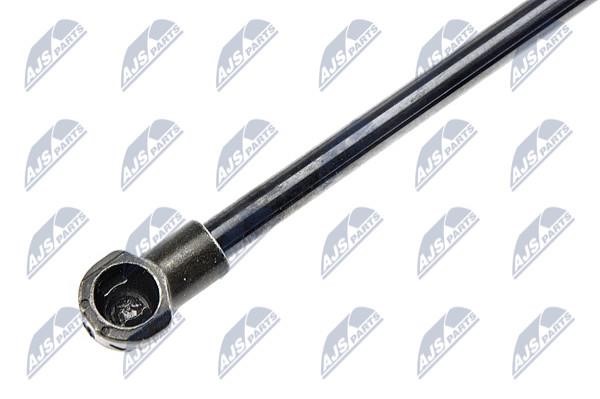 Tailgate strut NTY AE-NS-009