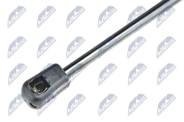 Tailgate strut NTY AE-NS-011