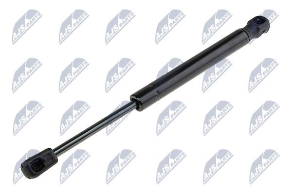 NTY AE-NS-013 Gas Spring, boot-/cargo area AENS013