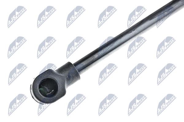 Tailgate strut NTY AE-NS-015