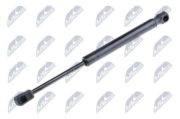 NTY AE-NS-016 Gas Spring, boot-/cargo area AENS016