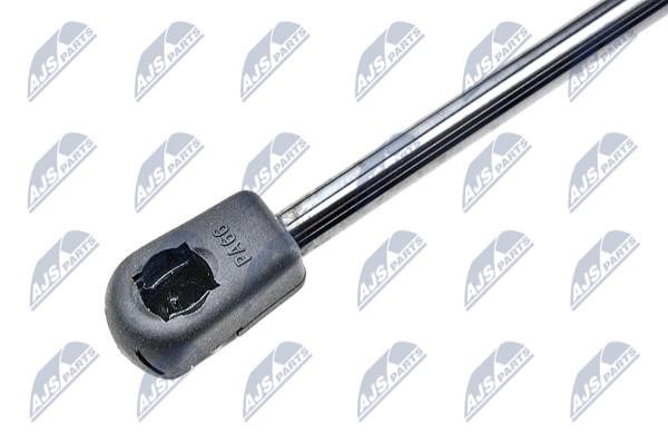 Tailgate strut NTY AE-PE-002