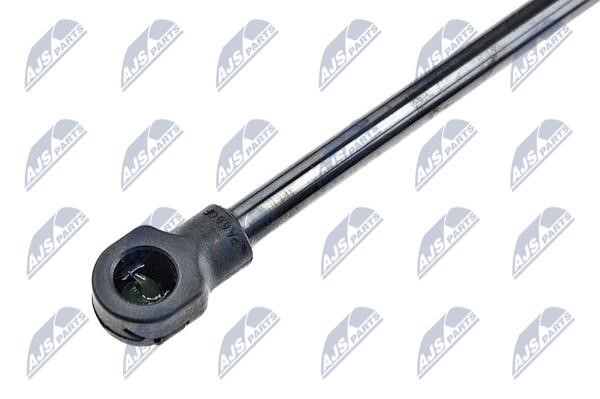 Tailgate strut NTY AE-PE-003