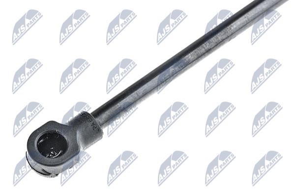 Tailgate strut NTY AE-PE-004