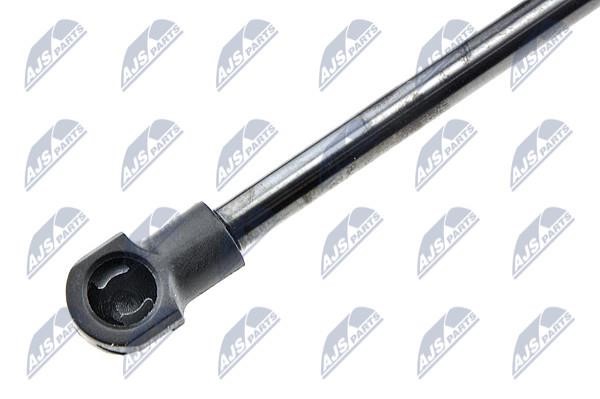 Tailgate strut NTY AE-PE-005