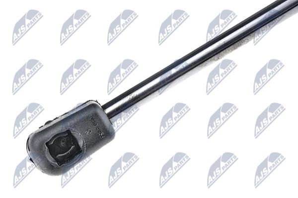 Tailgate strut NTY AE-PE-006