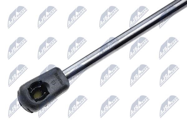 Tailgate strut NTY AE-PE-009