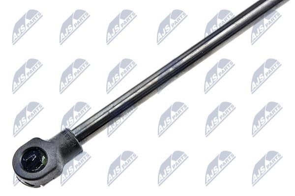Tailgate strut NTY AE-PE-010