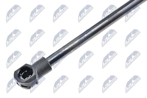 Tailgate strut NTY AE-PE-012