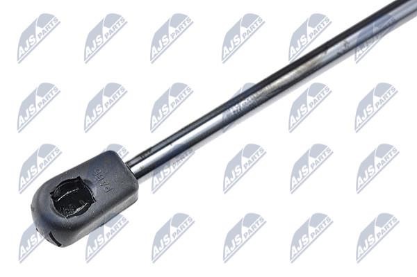 Tailgate strut NTY AE-PE-015