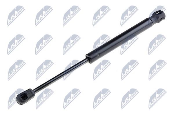 AEPE020 NTY Tailgate strut
