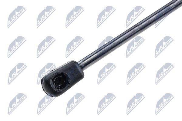 Tailgate strut NTY AE-PE-020
