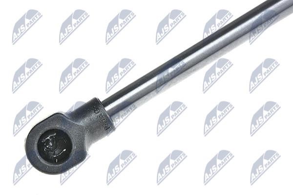 Tailgate strut NTY AE-PE-023
