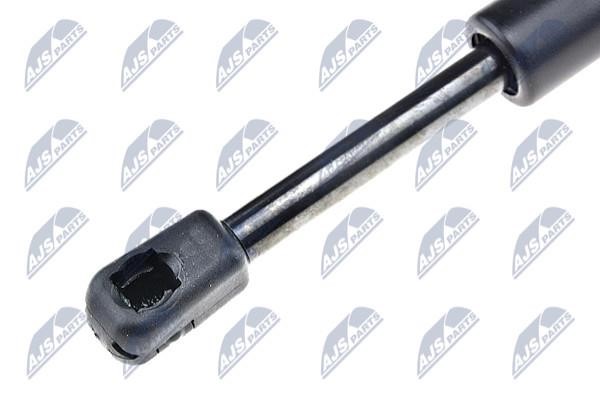 Hood shock absorber NTY AE-PE-024