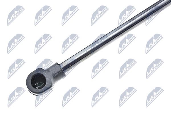 Hood shock absorber NTY AE-PE-027