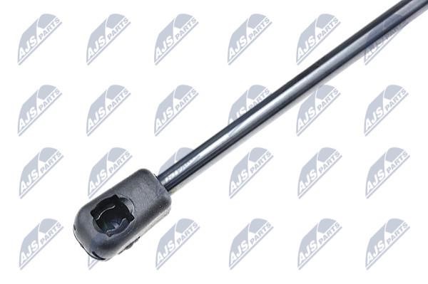 Tailgate strut NTY AE-PE-028