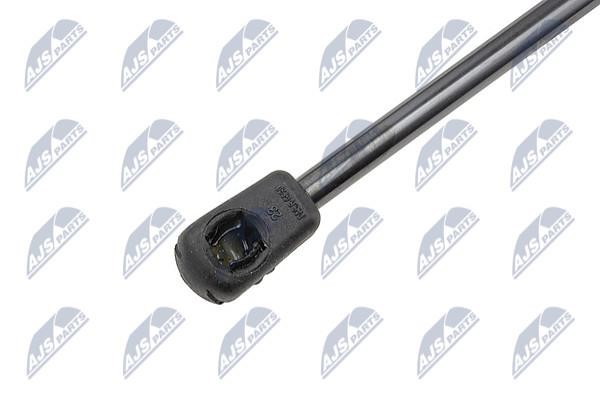 Tailgate strut NTY AE-PE-030