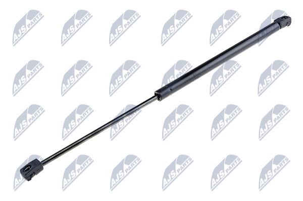 NTY AE-PL-001 Gas Spring, boot-/cargo area AEPL001