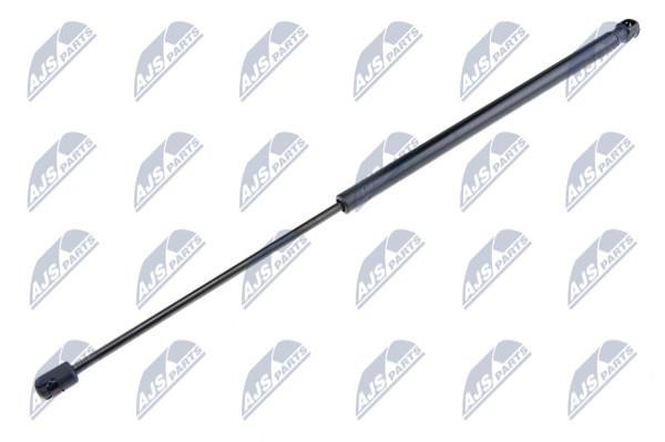 NTY AE-PL-002 Gas Spring, boot-/cargo area AEPL002