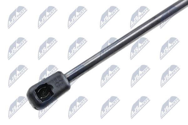 Tailgate strut NTY AE-PL-002