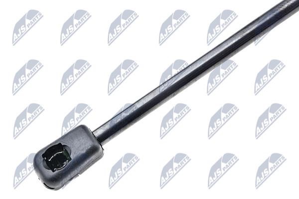 Tailgate strut NTY AE-PL-003