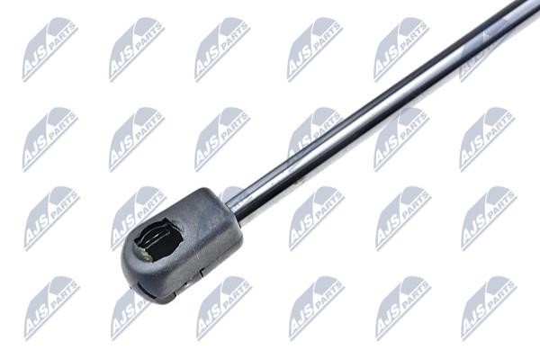 Tailgate strut NTY AE-PL-005