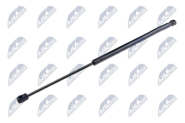 NTY AE-PL-006 Gas Spring, boot-/cargo area AEPL006