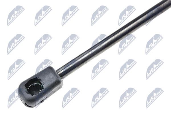 Tailgate strut NTY AE-PL-006
