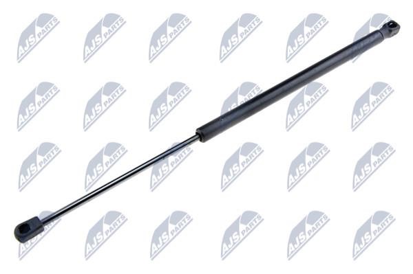 NTY AE-PL-008 Gas Spring, boot-/cargo area AEPL008