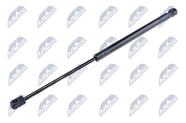 NTY AE-PL-009 Gas Spring, boot-/cargo area AEPL009