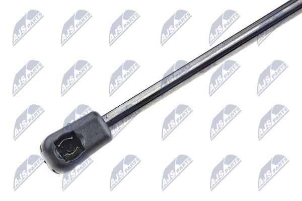 Tailgate strut NTY AE-PL-010