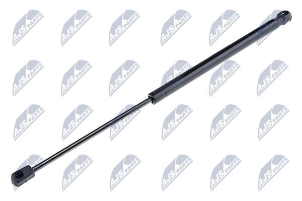 NTY AE-PL-011 Tailgate strut AEPL011 AEPL011 NTY Tailgate strut